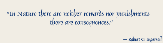 Robert G. Ingersoll quotation from “Some Reasons Why” (1881)
